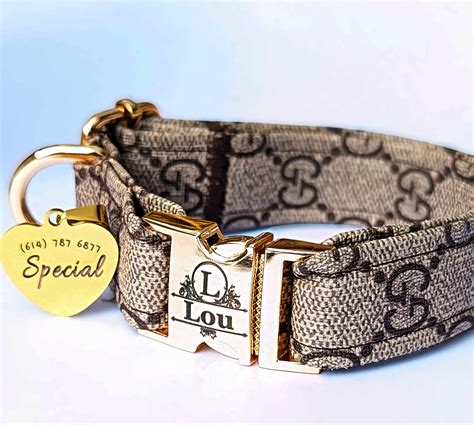 kitten clothes gucci|gucci dog collar and leash.